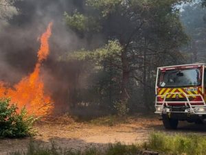 Lire la suite à propos de l’article Feux de forêt : pourquoi les projections de braises sont dangereuses pour une habitation ?