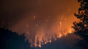 Lire la suite à propos de l’article Protection maison contre les feux de forêt dans le Sud-Est
