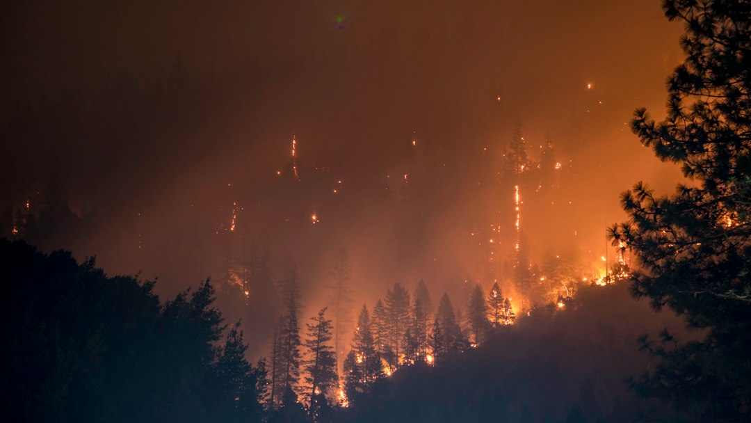 Lire la suite à propos de l’article Protection maison contre les feux de forêt dans le Sud-Est